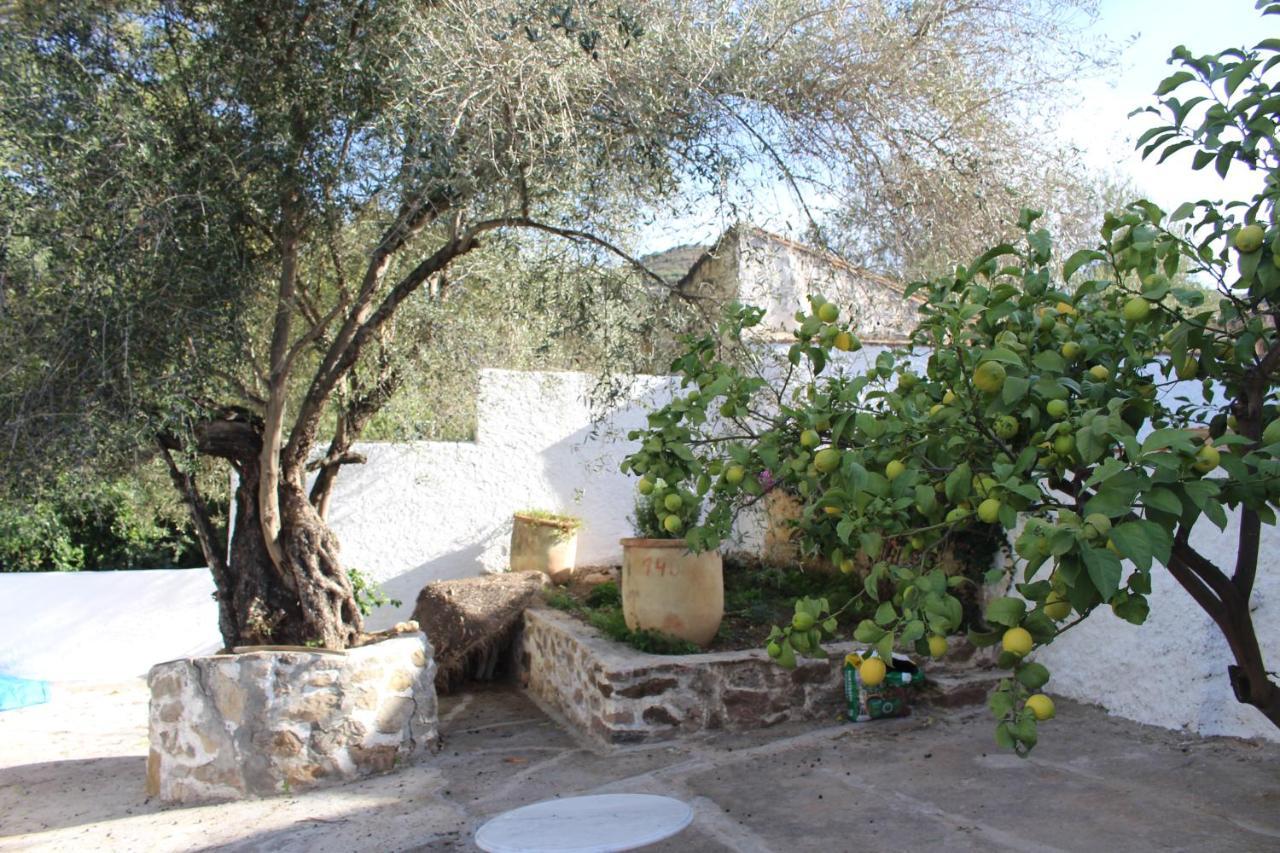 Affittacamere Cortijo El Puente Viñuela Esterno foto